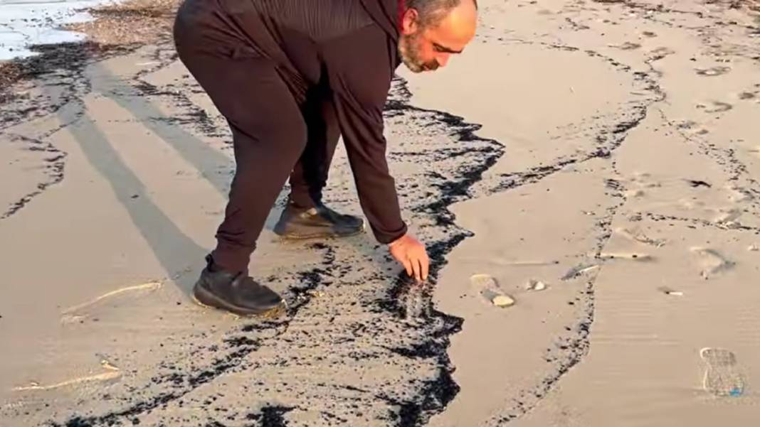 Çanakkale'deki büyük yangının izi Edirne'de: Kıyı şeridi küllerle kaplandı 1